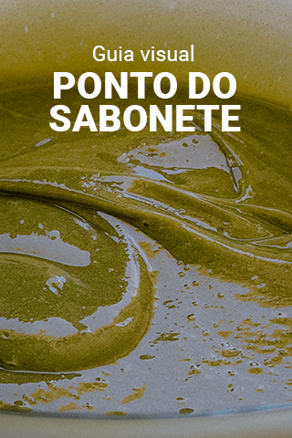Capa do material Guia visual do ponto